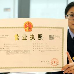 Business License Template of China