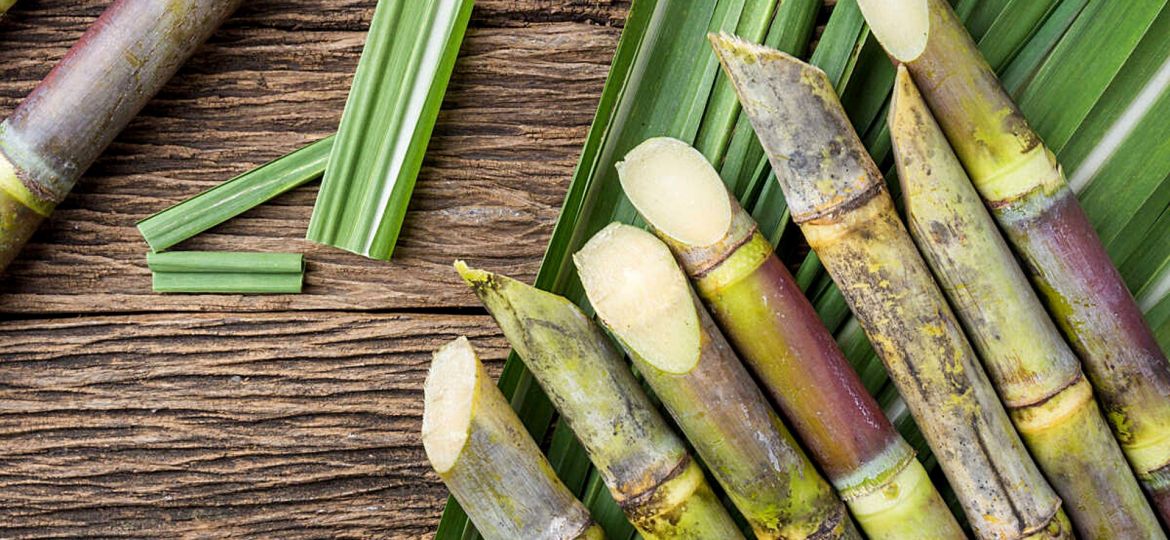 76a2629869304e313008912fdf8731a8-2